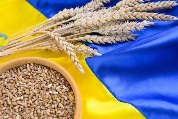 Експорт українського зерна в листопаді перевищив 2 млн тонн